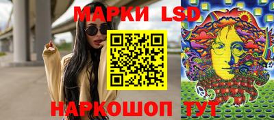 spice Камышлов
