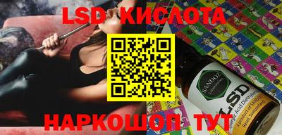 spice Камышлов