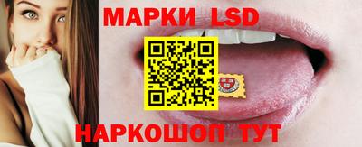 spice Камышлов