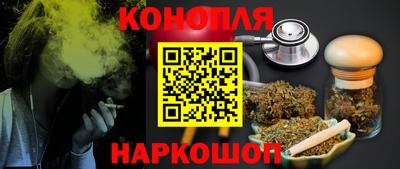 spice Камышлов