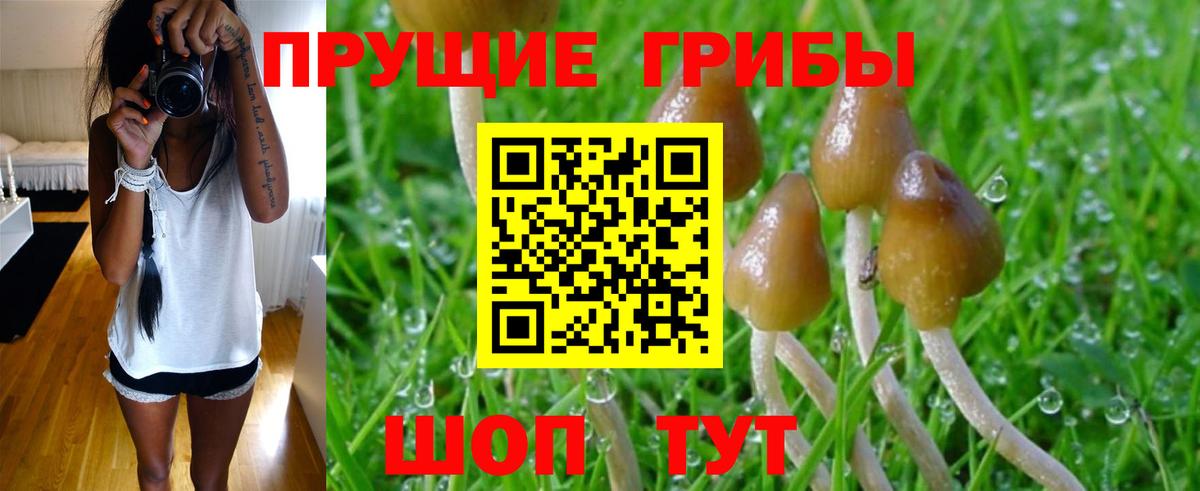 Галлюциногенные грибы MAGIC MUSHROOMS  что такое наркотик  Кузнецк  Вход с VPN 